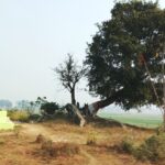 रघुनाथपुर दोनमा: जहाँ मिट्टी के बुत बोलते हैं!