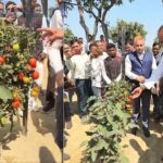 खेती का बदलेगा स्वरूप: एक ही पौधे पर उगेंगे ‘टमाटर और बैंगन’, बिना जुताई के होगी आलू की बंपर पैदावार