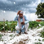 खेती-किसानी: उत्तर बिहार के किसान हो जाएं सावधान! 21-22 मार्च को बारिश और ओलावृष्टि की चेतावनी, अपनी फसलों को बचाने के लिए अपनाएं ये उपाय