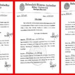 बीआरए बिहार विश्वविद्यालय में बड़ा प्रशासनिक फेरबदल: वीसी का बड़ा हंटर, टी के डे की छुट्टी, रजनीश गुप्ता और संगीता सिन्हा को मिली कमान!